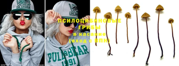 бошки Новозыбков