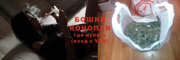 метадон Новодвинск