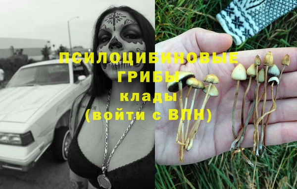 бошки Новозыбков