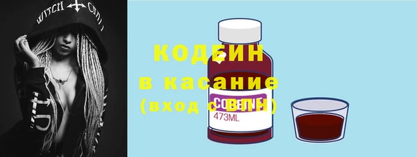 шишки Нязепетровск