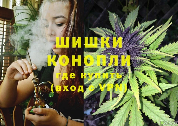 бошки Новозыбков