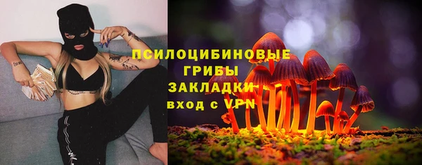 бошки Новозыбков