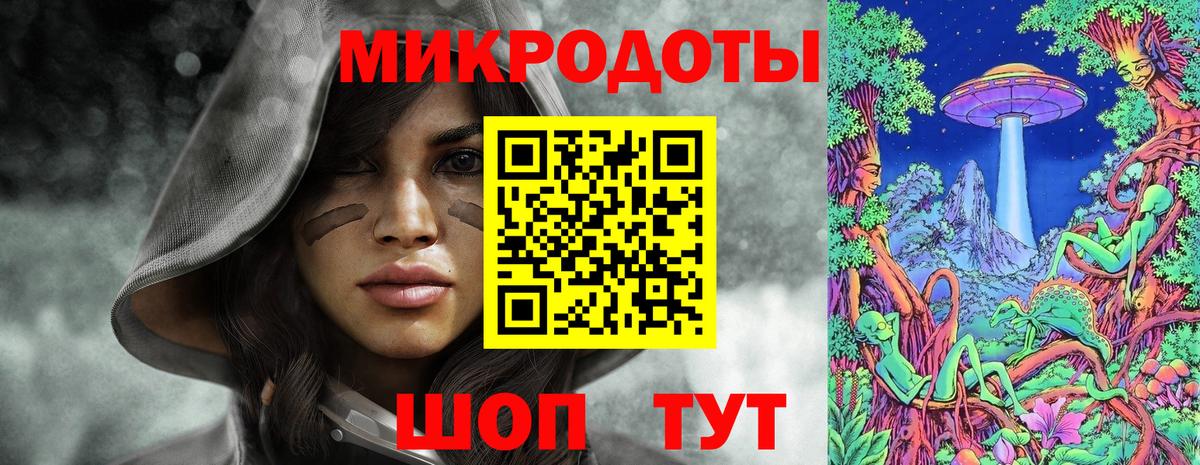 Галлюциногенные грибы Psilocybe Коряжма