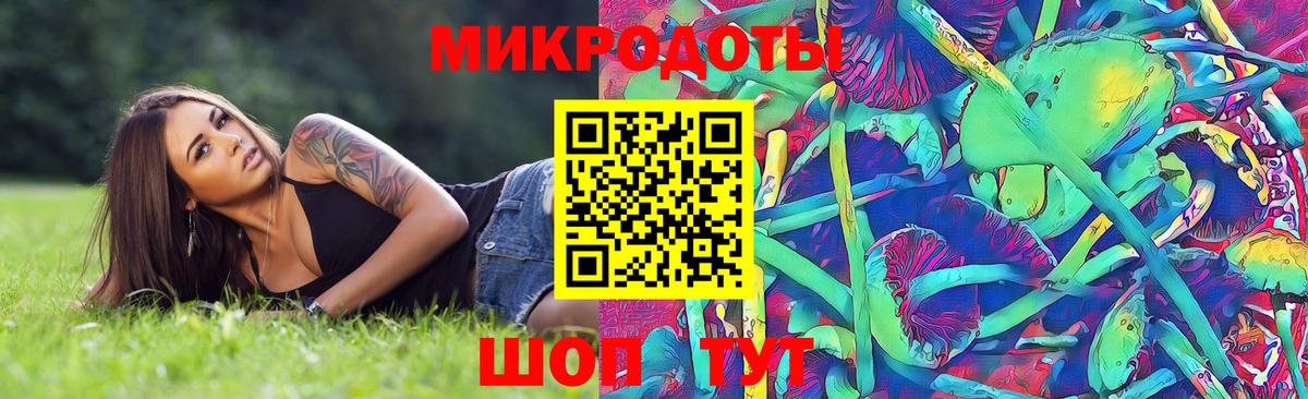 Галлюциногенные грибы Magic Shrooms  Коряжма  купить закладку  Псилоцибиновые грибы мицелий 